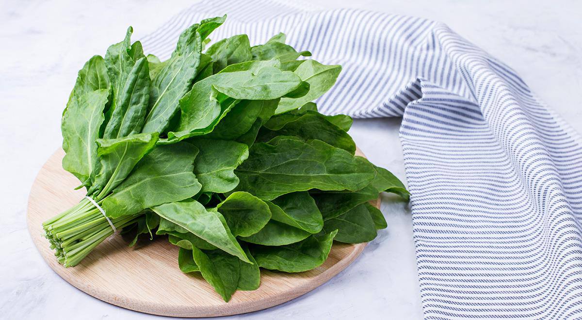 Vse o koristih kislice